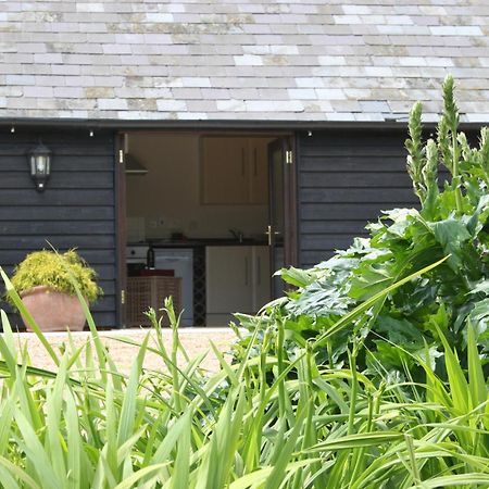 Five Cottages In Aonb Ашфорд Экстерьер фото